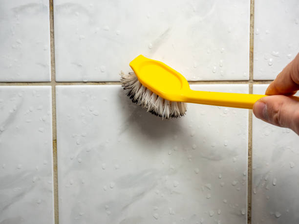 Best Mold Testing  in Edwardsburg, MI