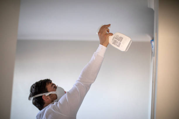 Best Home Mold Removal  in Edwardsburg, MI