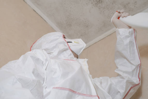 Best Mold Testing  in Edwardsburg, MI