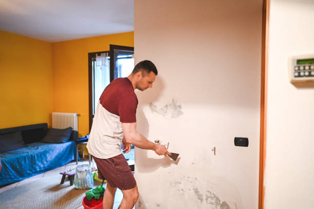 Office Mold Removal Services in Edwardsburg, MI